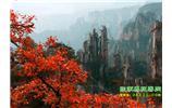 春節(jié)期間：張家界、天子山、金鞭溪自駕車精華精品游