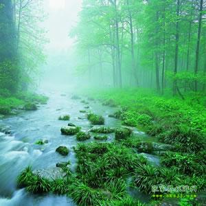 【純玩散拼尊享系列3】張家界、天子山、袁家界、黃龍洞、鳳凰三晚四日游